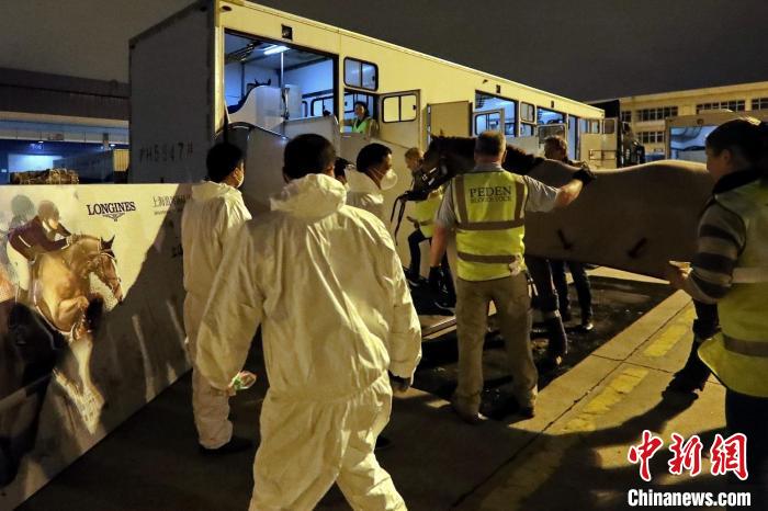 2024上海浪琴环球马术冠军赛十周年启幕 新场馆与