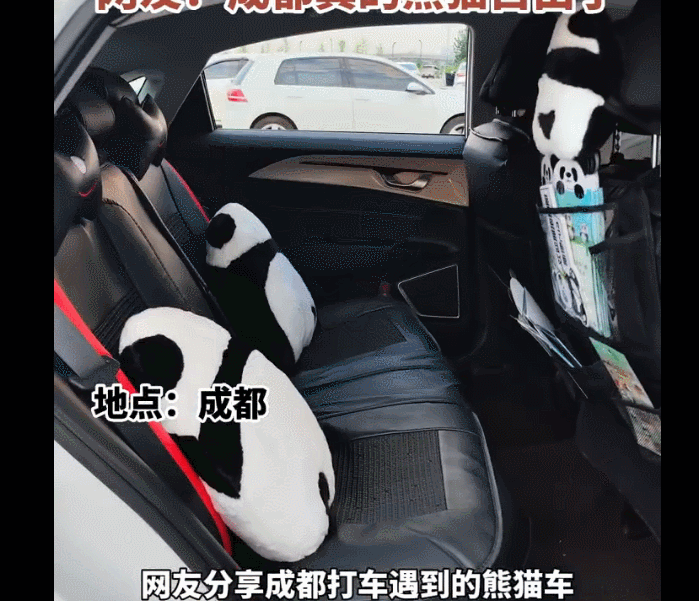 解码大运会:成都千年城与大熊猫IP的相遇与全球